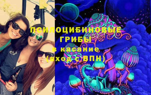 СК Алексин