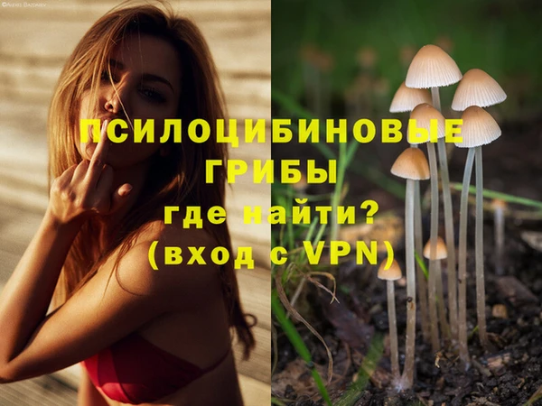 герыч Алексеевка