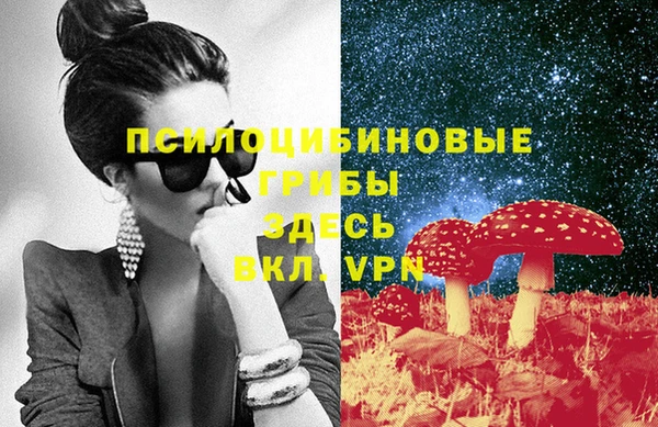 гашик Алзамай