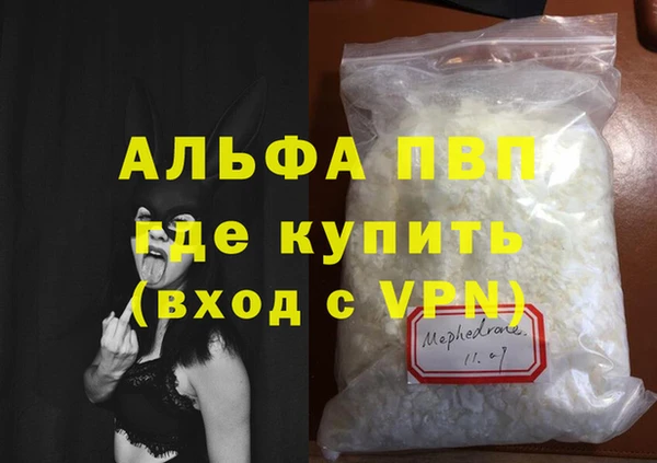 СК Алексин