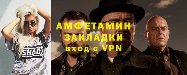СК Алексин