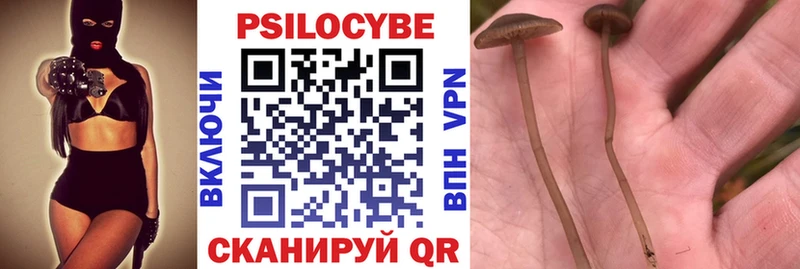 купить наркоту  Андреаполь  Галлюциногенные грибы ЛСД 